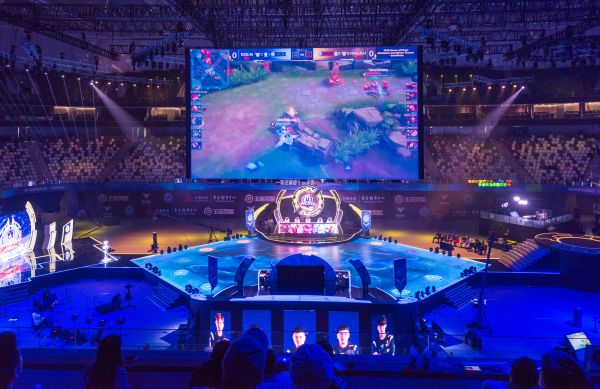 这种协作精 这种协作精