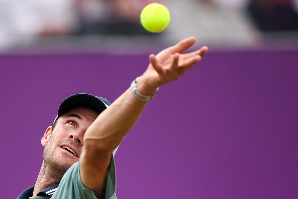 她证明了坚 她证明了坚