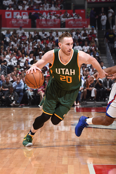 家队关系 家队关系